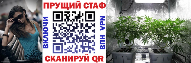 Меф мяу мяу Новая Ладога