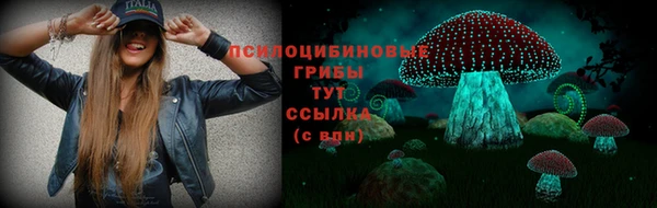 МДПВ Горняк