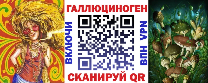 дарк нет состав  Новая Ладога  Галлюциногенные грибы Cubensis 