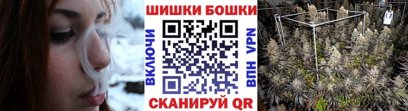 Канабис конопля Новая Ладога